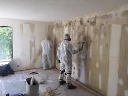 Best Biohazard Mold Removal  in Doylestown, OH